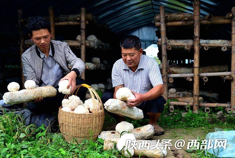 农场养殖致富行业_农业致富项目养殖业_致富农场养殖行业现状