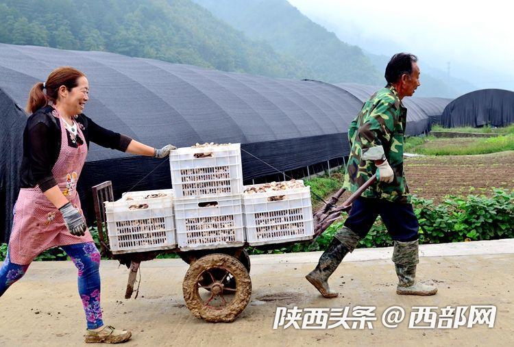 农业致富项目养殖业_致富农场养殖行业现状_农场养殖致富行业