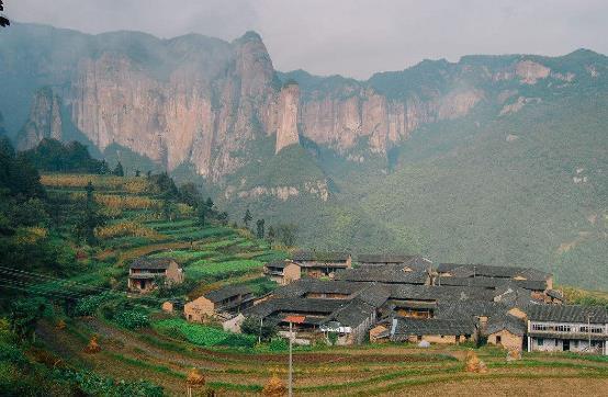 花生种植效益怎么样_农户花生致富种植方案_农户种植花生致富