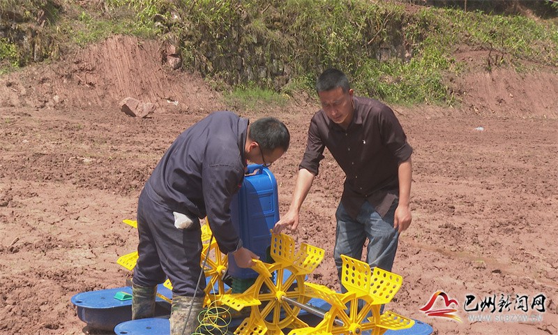 致富经室内养虾视频_致富经养殖虾_2015养虾致富经