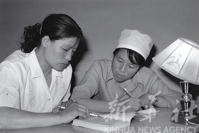视频致富果养鸡园在线观看_致富经果园养鸡视频_视频致富果养鸡园是真的吗