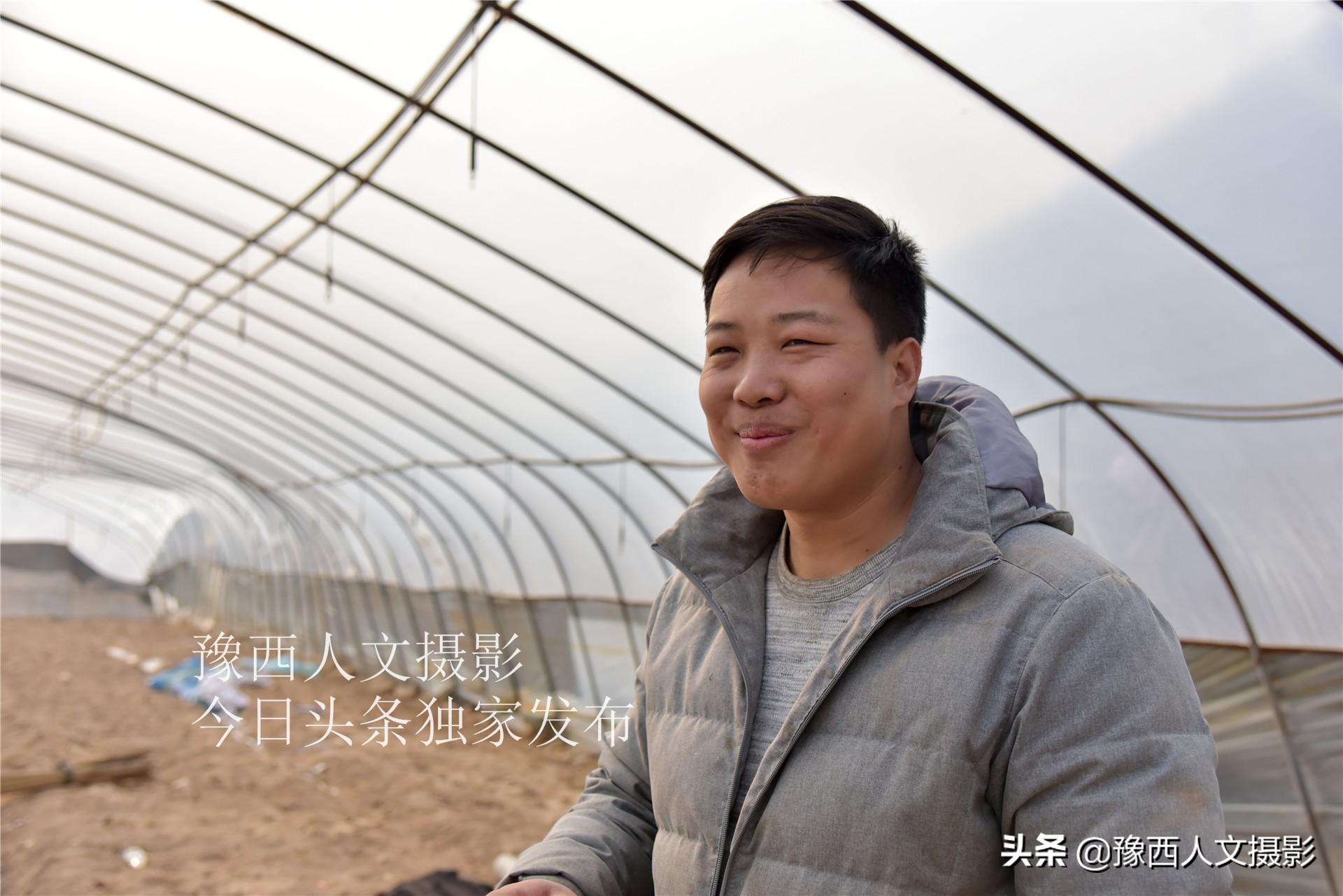 种植灵芝要投资多少钱一亩_致富灵芝种植农村有补贴吗_农村致富灵芝种植