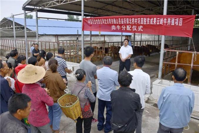 生牛收购价格_牛收购价多少钱一斤_致富经收购5到6年生母牛