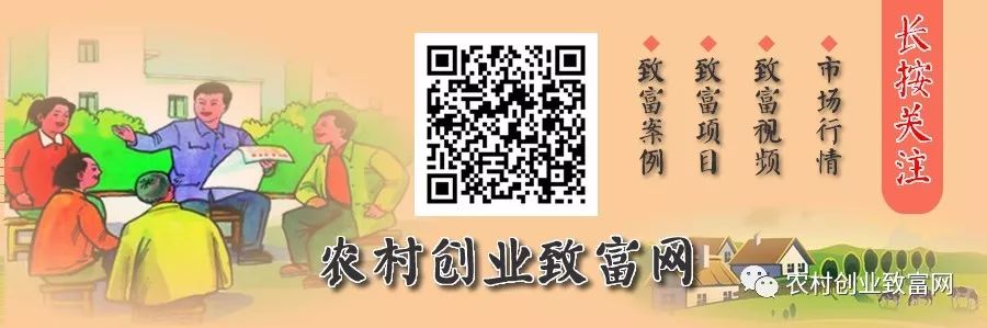 致富经青蛙2018_致富经青蛙2018_致富经青蛙2018