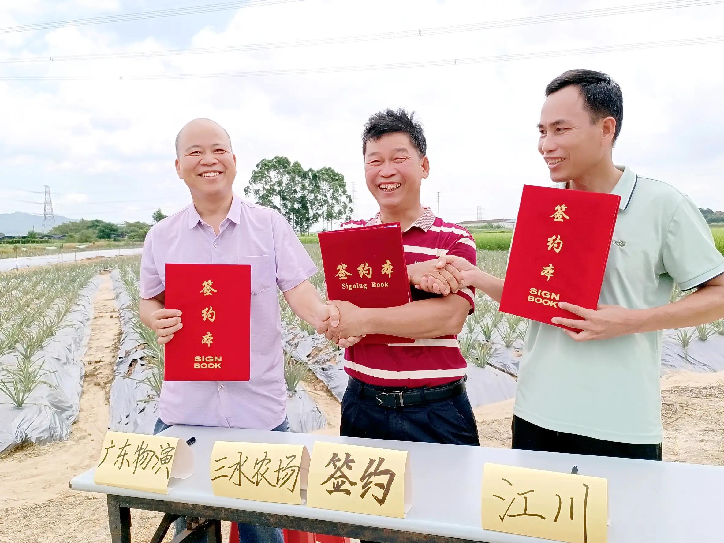 江川菠萝落户三水种植场 建立联产联销模式 助力乡村振兴