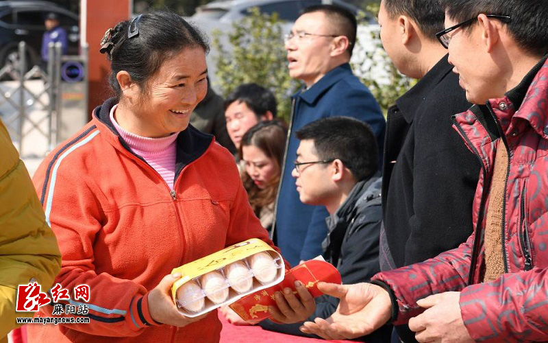 孔雀蓝山鸡怎么养殖_孔雀蓝山鸡致富经视频_山鸡孔雀蓝图片