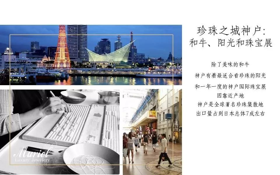 红车花怎么养殖技术_养殖车红花技术视频_养殖车红花技术规范