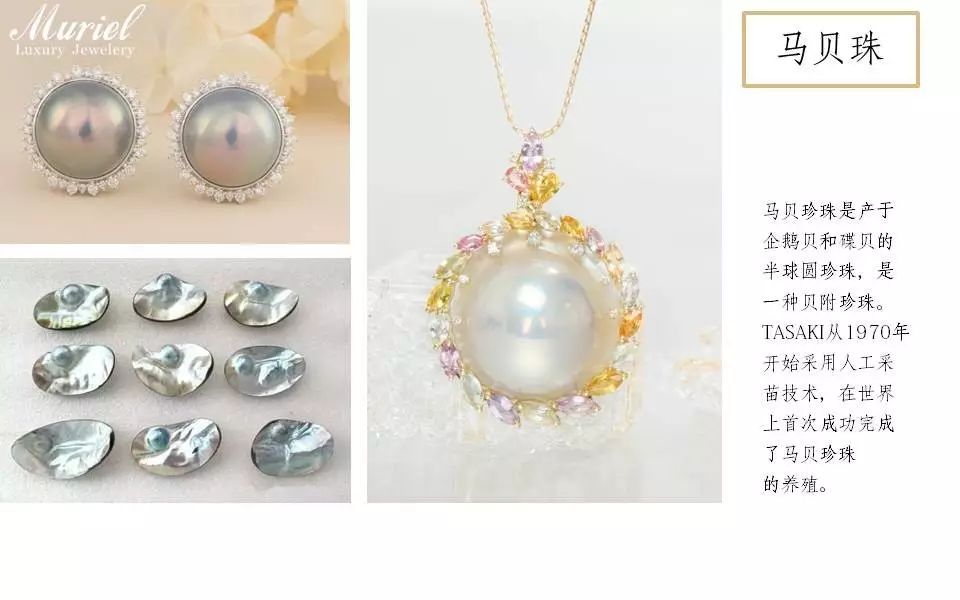 养殖车红花技术规范_养殖车红花技术视频_红车花怎么养殖技术