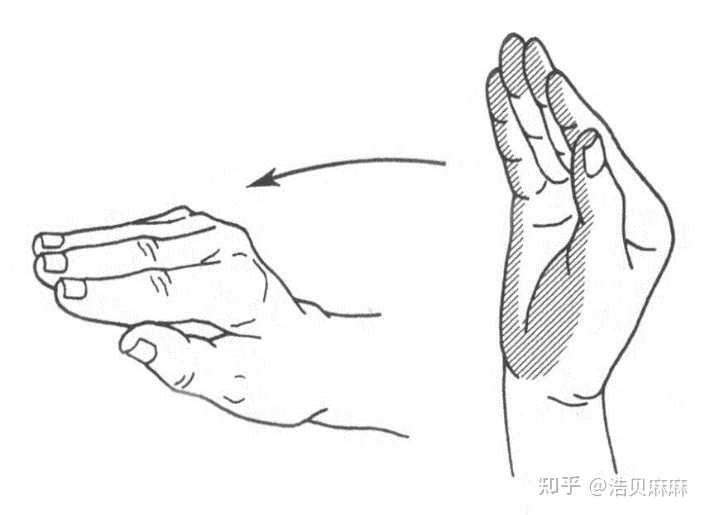 优质回答的经验_优质回答经验的句子_优质回答经验怎么写