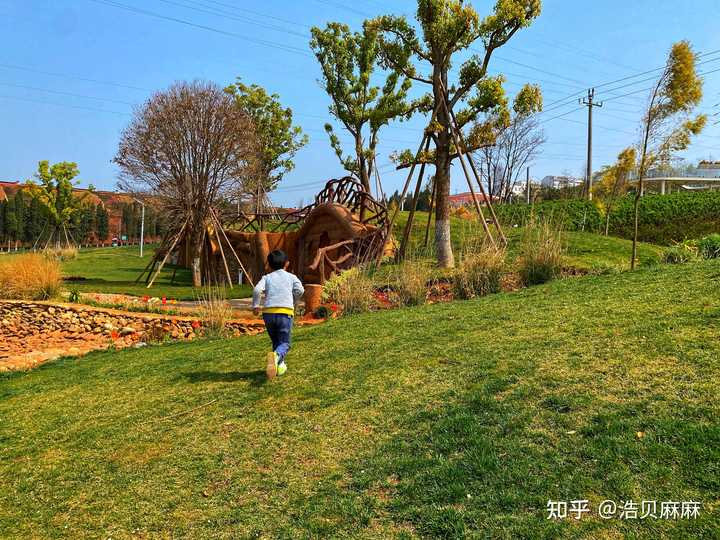 优质回答经验的句子_优质回答的经验_优质回答经验怎么写