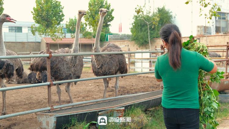 致富赚钱的方法_致富经一亩能赚多少钱_致富赚钱的小型机器