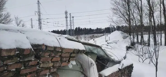 王雪莲致富经_雪莲王香烟好抽吗_雪莲王烟