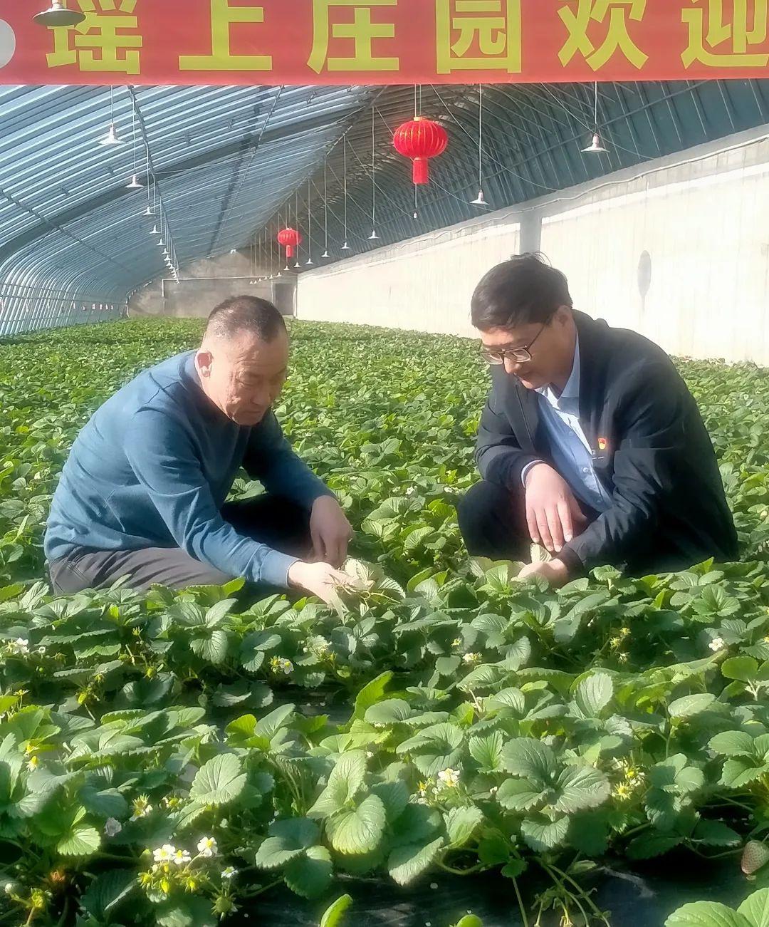 致富赚钱的方法_致富经一亩能赚多少钱_致富赚钱的小型机器