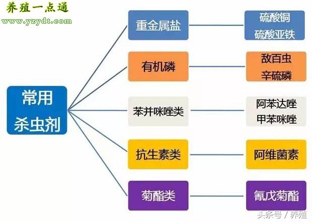 草鱼养殖技术与利润_草鱼养殖技术_养殖草鱼技术视频