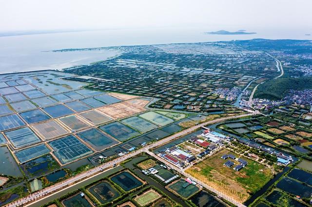 致富农村养殖种植_农村致富项目养殖业_土地养殖致富