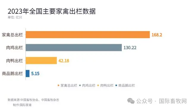 2023年我国家禽生产数据分析：肉鸡、肉鸭、肉鹅等所有产能均创历史新高