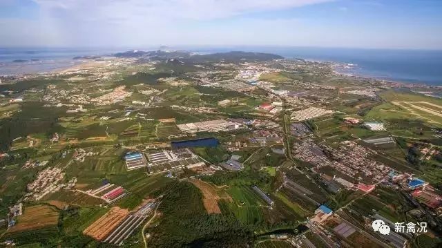 致富养殖沙鸡项目_沙子养鸡_养殖鸡致富经视频