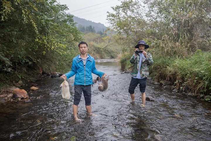 如何评价华农兄弟？