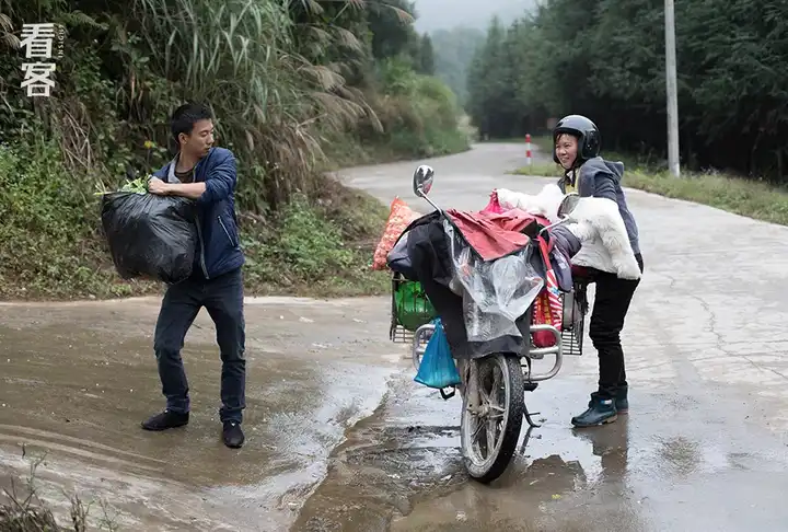 养殖竹鼠的前景如何_养殖竹鼠赚钱吗_致富经中养竹鼠