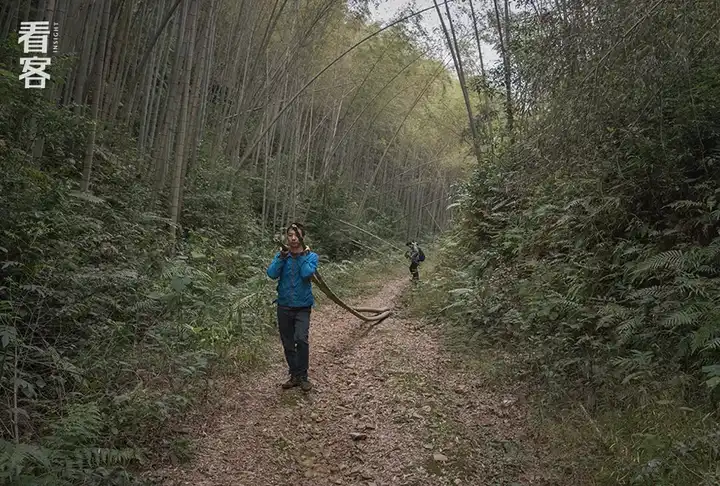 致富经中养竹鼠_养殖竹鼠赚钱吗_养殖竹鼠的前景如何