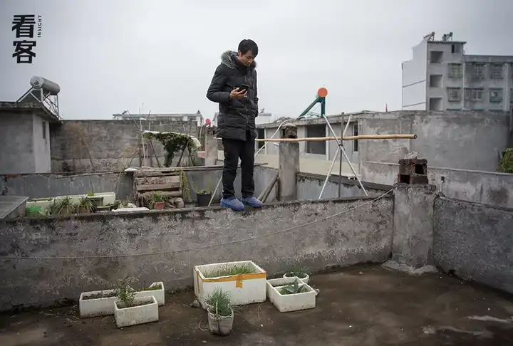 致富经中养竹鼠_养殖竹鼠赚钱吗_养殖竹鼠的前景如何