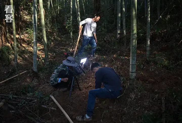 养殖竹鼠赚钱吗_致富经中养竹鼠_养殖竹鼠的前景如何