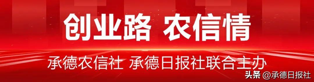 致富经母猪_致富经养猪视频母猪_养母猪致富