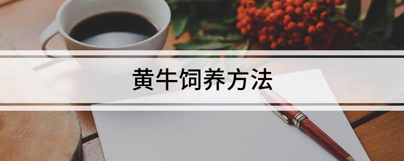 黄牛饲养方法