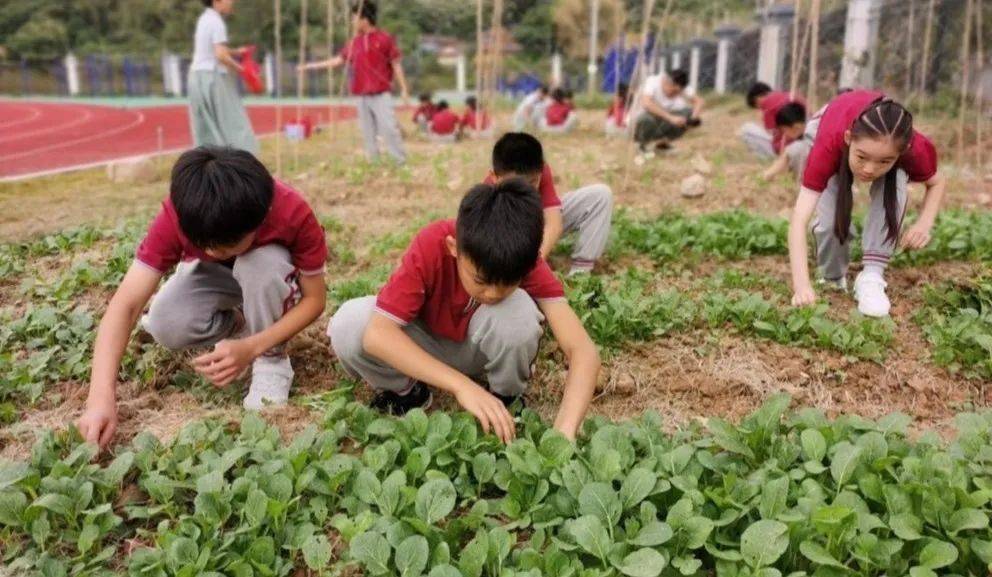 引进优质民办学校的反思与建议_民办学校人才引进_引进民办优质学校经验材料