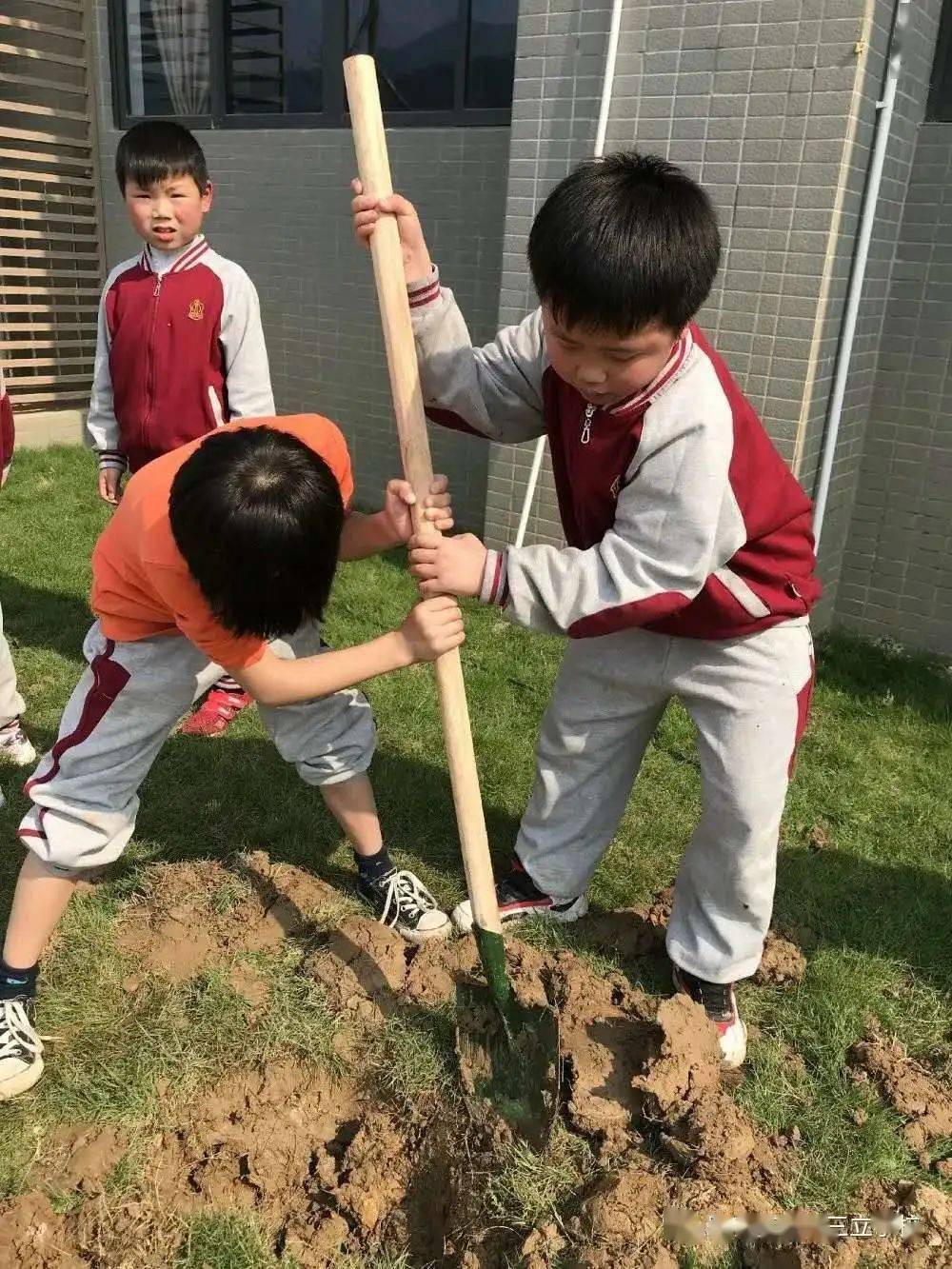 民办学校人才引进_引进民办优质学校经验材料_引进优质民办学校的反思与建议