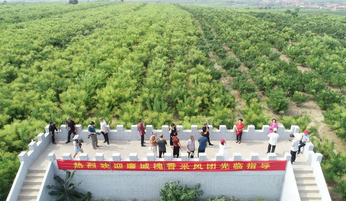 村民科学种植致富_农村致富种_农村种植致富能手事迹材料