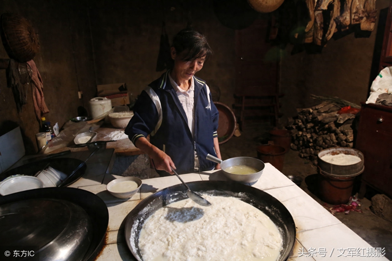 5旬夫妻在秦岭靠山吃山想致富，养8条狗对付野猪，看他俩如何发家