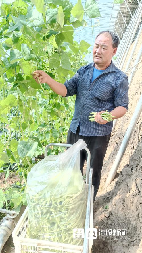 农民种植致富_村民科学种植致富_农村种植致富能手事迹材料