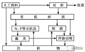 专题16 生态系统与环境保护（23年高考真题整理）