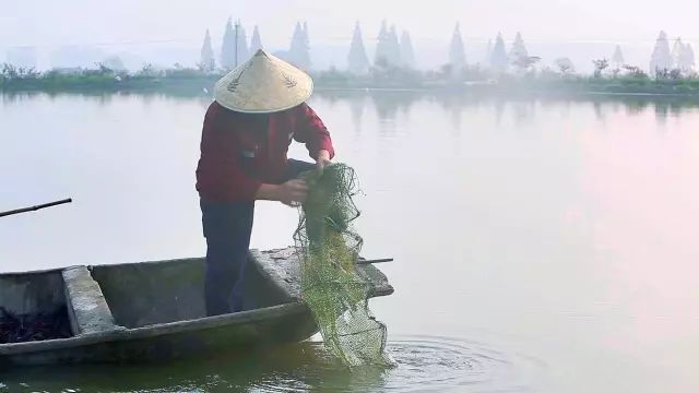 致富经做螃蟹酱_农家自制蟹酱做法大全_螃蟹酱的制作方法视频