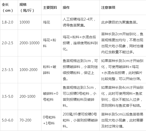 水泥养殖池技术要点_水泥养殖池技术规范_水泥池养殖技术