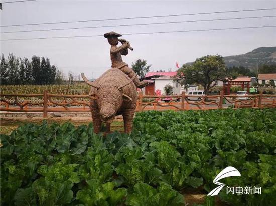 致富村民种植葡萄图片_致富经种葡萄_葡萄种植村民致富