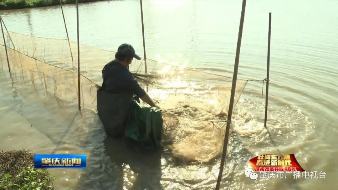 致富小视频_视频致富经_高手致富经视频