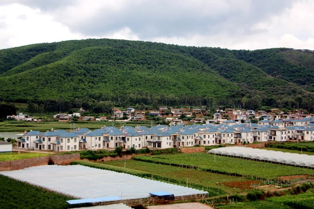 葡萄种植村民致富_致富村民种植葡萄图片_致富经种葡萄