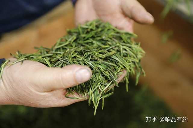 农民种植致富_茶农种植致富忙_茶叶致富经