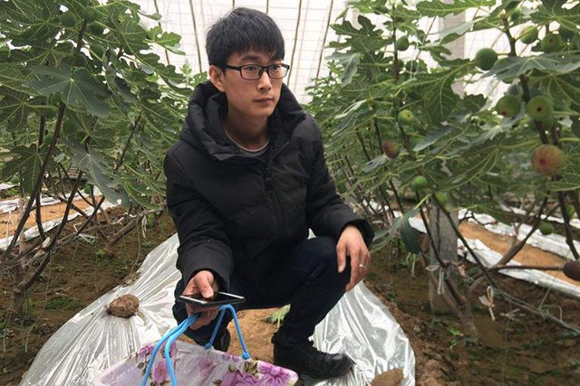 致富养殖大棚种植视频_大棚养殖什么利润高_大棚种植养殖致富