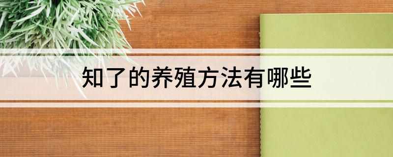 知了的养殖方法有哪些