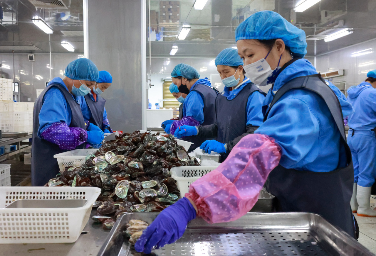 野生鲍鱼的养殖技术_野生养殖鲍鱼技术视频_野生养殖鲍鱼技术规范