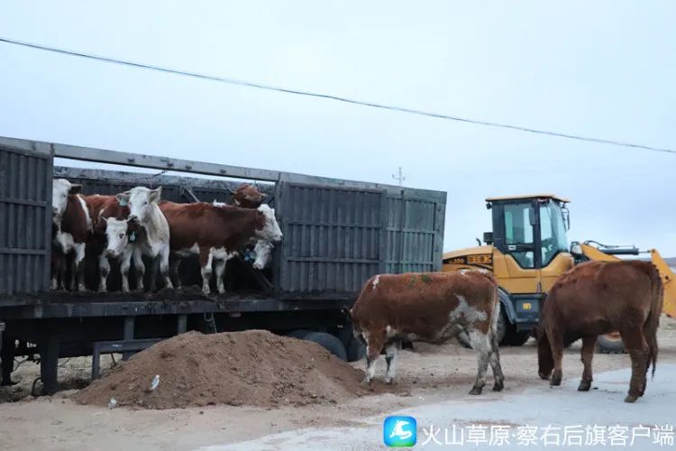 养殖致富网视频_土豪视频致富养殖大佬_土豪养殖致富视频