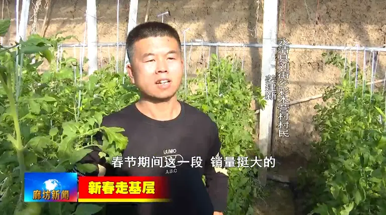 大棚种植养殖致富_致富养殖大棚种植视频_大棚致富项目