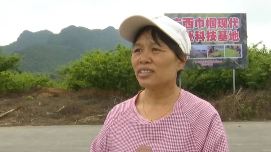 无土栽培种植技术_种植土应满足什么要求_种植土技术要求