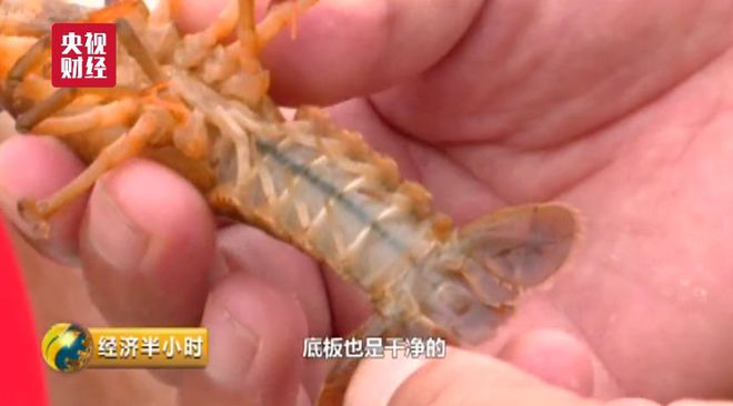 致富经豆腐类致富故事_CCT 致富经神仙豆腐_致富经豆腐全集视频