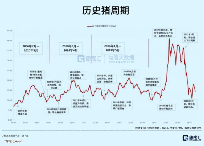 养殖鸡致富经_养殖种鸡致富_致富养殖鸡种类有哪些