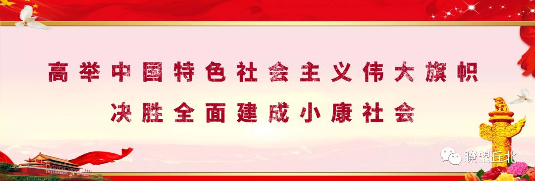 农村合作致富项目_农村种植致富合作_农村种植合作社新政策