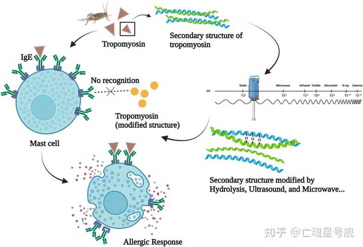 蟥虫养殖技术哪里有_虫的养殖_虫的养殖业有哪些